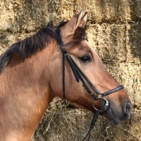 Beau
