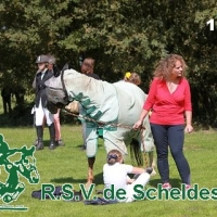 IMG_5257-BorderMaker.jpg