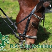 IMG_5261-BorderMaker.jpg