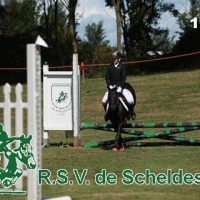 IMG_5280-BorderMaker.jpg