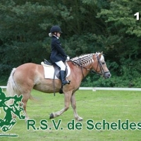 IMG_5371-BorderMaker.jpg