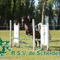 IMG_5482-BorderMaker.jpg