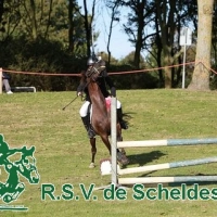 IMG_5486-BorderMaker.jpg