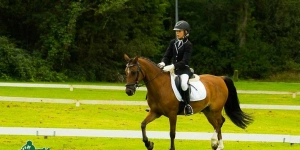 Concours Hippique 2014