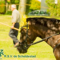 20140815-034-_8150180-BorderMaker.jpg