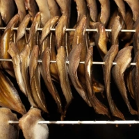 04 juni 2011-035-_6042834.jpg