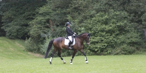 Concours Hippique 2016