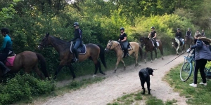 Strandrit 16 mei 2020