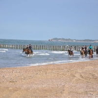 DSC_7601.jpg