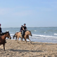 DSC_7641.jpg
