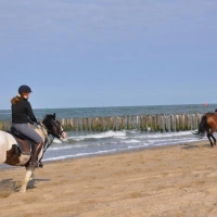DSC_7644.jpg