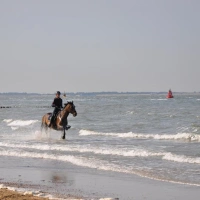 DSC_7666.jpg