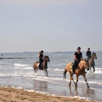DSC_7668.jpg