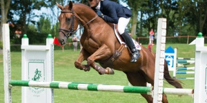 Alfonds Hippique 2013